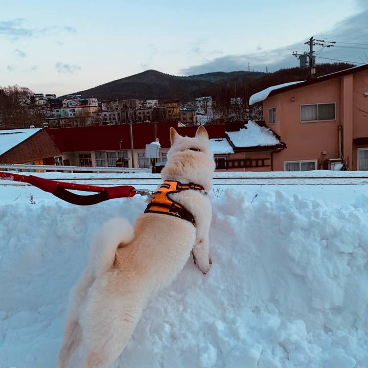 Efa3d727 6112 4875 bbb8 074b9a2dc61d 1670885345793