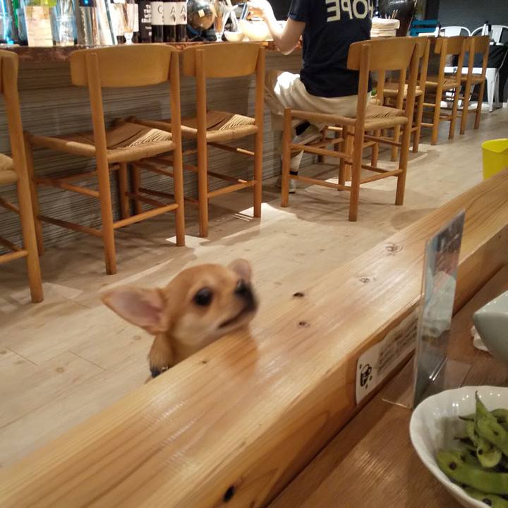 Efa3e678 9e74 461e a169 d120c5b55840 1569155542839