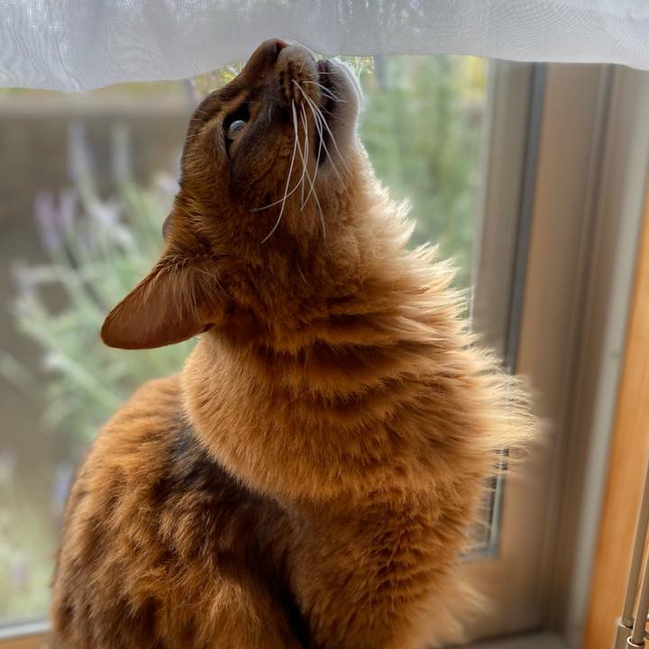 Efa40b08 e644 45d3 aa3e 73fe2cb2160e 1679885735735