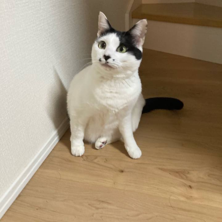 Efa413a3 3be7 4420 af62 c4bd87b4f906 1770323947266