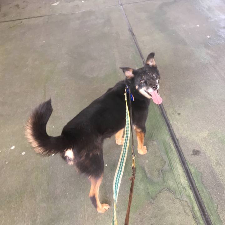 Efa426f7 f3e1 4e4b 94f8 0c2c754131d6 1548776180165