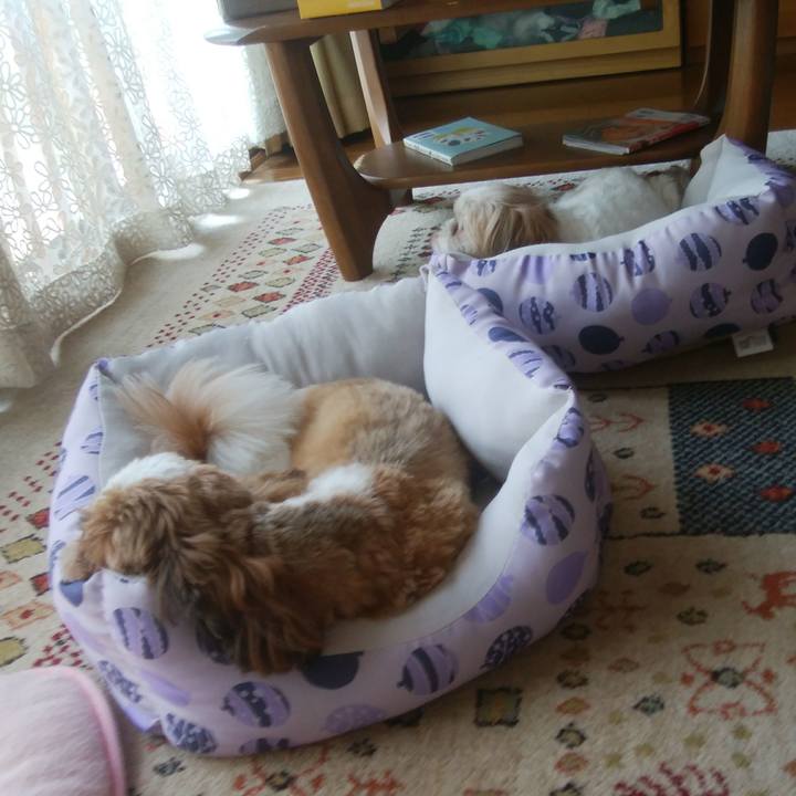 Efa42bb8 eb2b 4d0c 9fc5 740afa2ce78b 1564794100394