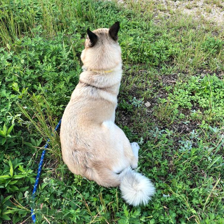 Efa43b85 b929 4ba1 a769 5ea3072fdec7 1601035695869