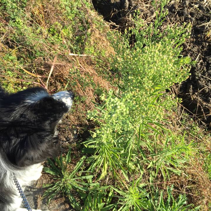 Efa44139 f14d 46d9 916c a07bf3b3e40d 1542243242359