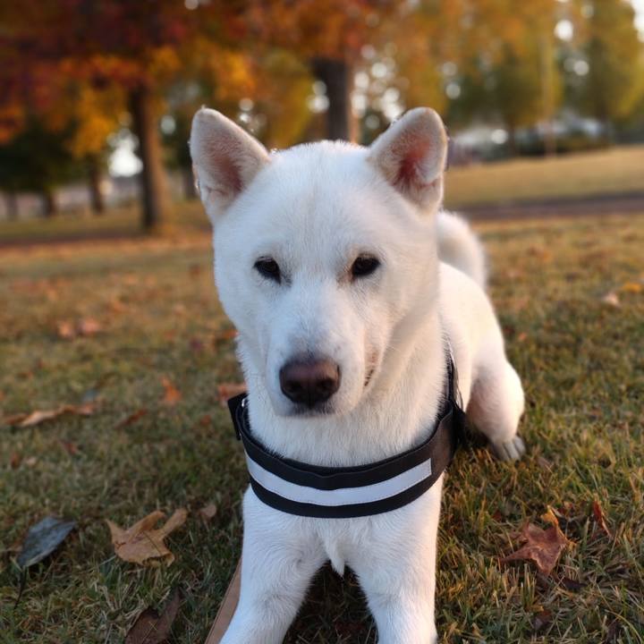 Efa4513b 1f37 415d bc96 04ea77ebdec8 1637669541491