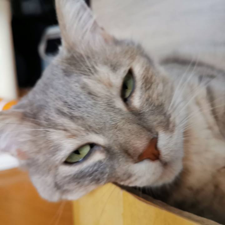 Efa46712 f20d 4eb9 a464 d2dae9cff4dc 1658459922731