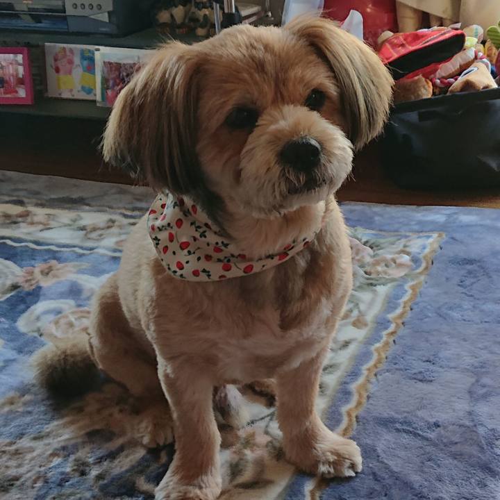 Efa476e5 26d2 46cc 9d2c 7a4af6db6f93 1587973793902