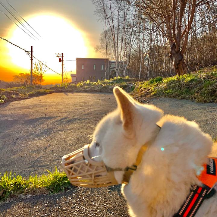 Efa4b592 14bd 4b2a 885e ebf4f8ce1d37 1619471061034