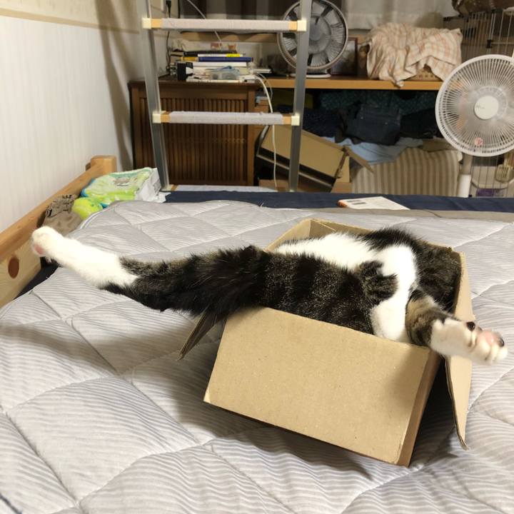 Efa4dc11 edc8 4ee0 9a32 ba69353a1c84 1538390452914