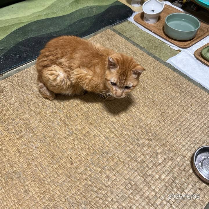 Efa4e814 3219 4164 b3b6 c8826a59e286 1759443538517