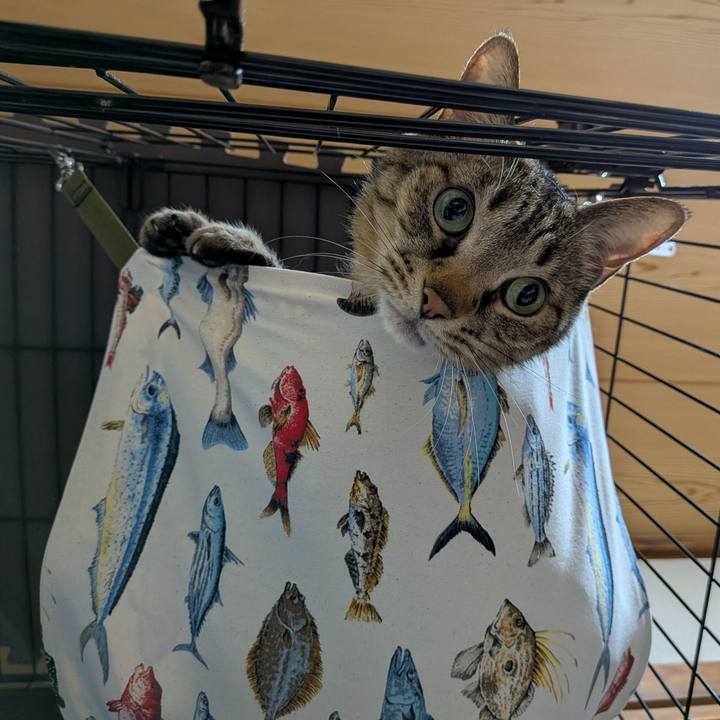 Efa56a82 8892 48a2 b7ea 01ea0ec8a8e0 1749295746710