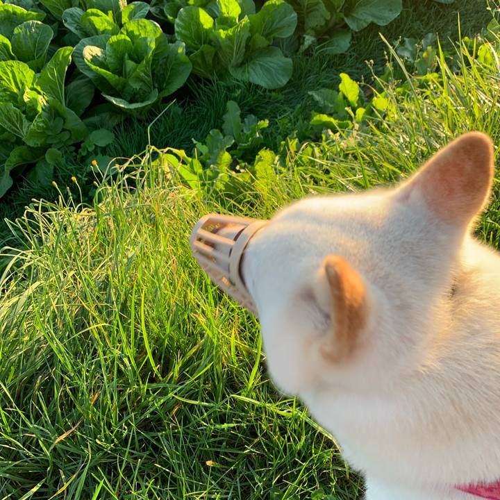 Efa56d89 df17 4421 9673 c5896bf2a2b8 1568670374463