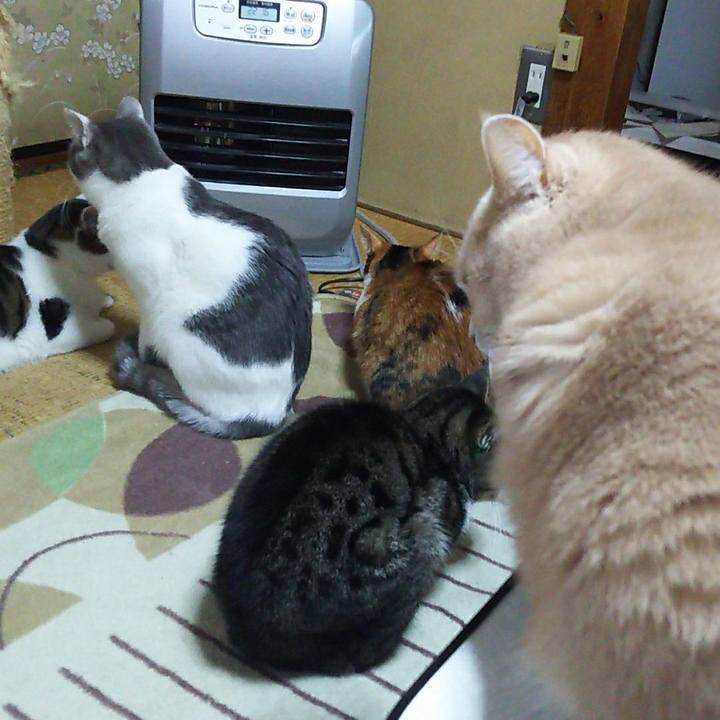 Efa58ce0 9c16 44f4 9138 545ba15a36ff 1515691628143