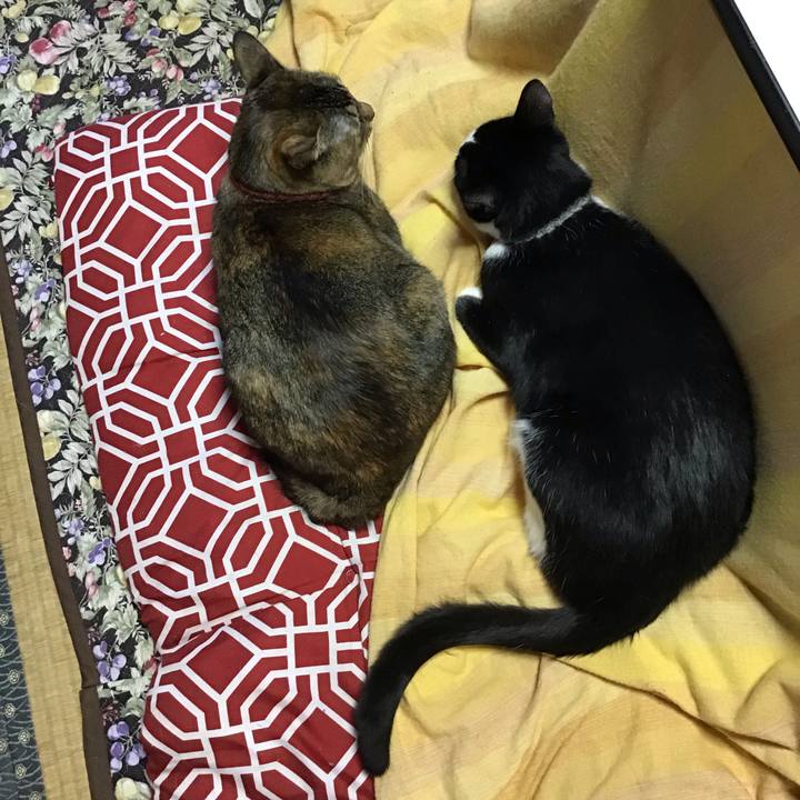 Efa5c199 2ea5 45d7 84d9 f73a19083254 1639894297770