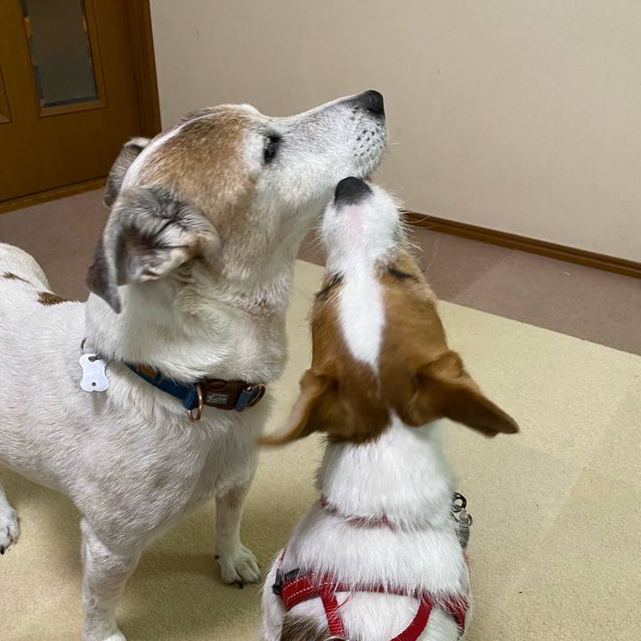 Efa5c390 02a7 4235 9235 4198dd497bdf 1619922958704