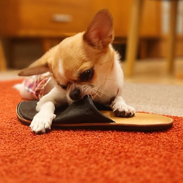 Efa5cd6a b1db 4efc b924 176e875015b9 1626860291177