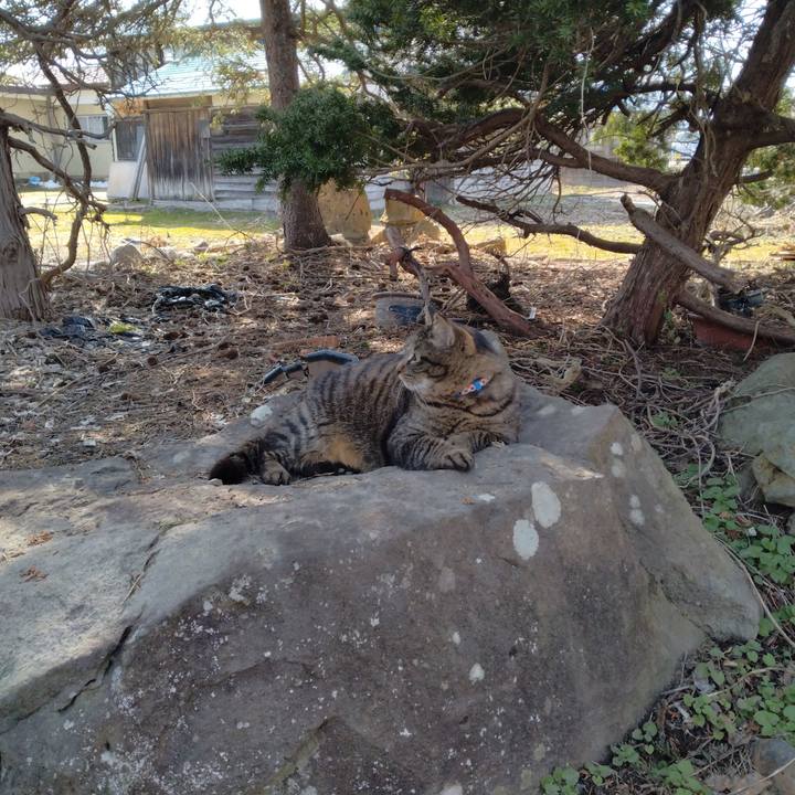 Efa5cf6f c3be 4e7c 9065 bd21145481b7 1679379761521