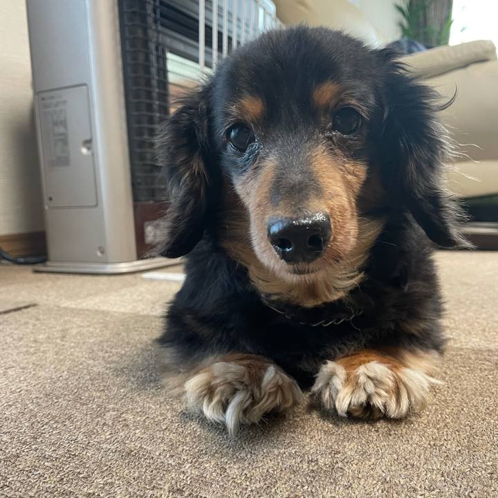 Efa5dee9 6ab8 4fbb a713 846631fcbf1b 1637099358108