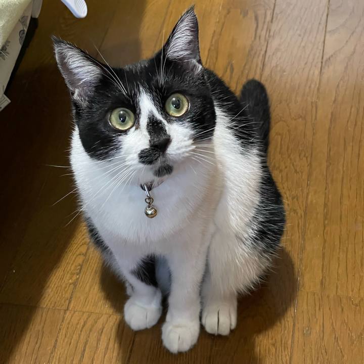 Efa5fda4 49ce 4dda 97e1 cc97c1c5be63 1757285914521