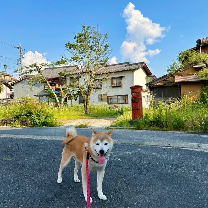 Efa63f97 c0ea 42c0 bbcb 5d3a3f8ddb16 1718798306993