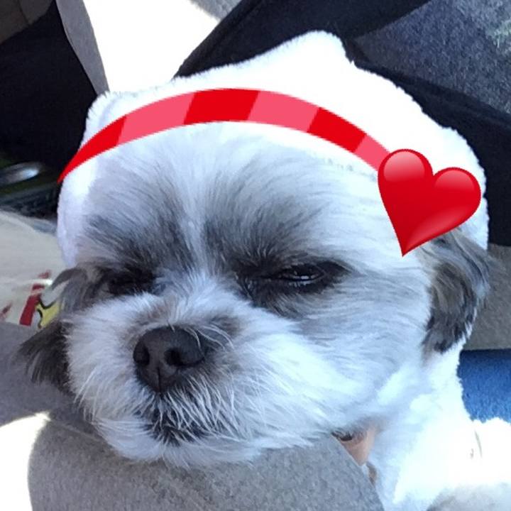 Efa66386 83cf 48c7 9b89 23d3b166bcae 1515675847836