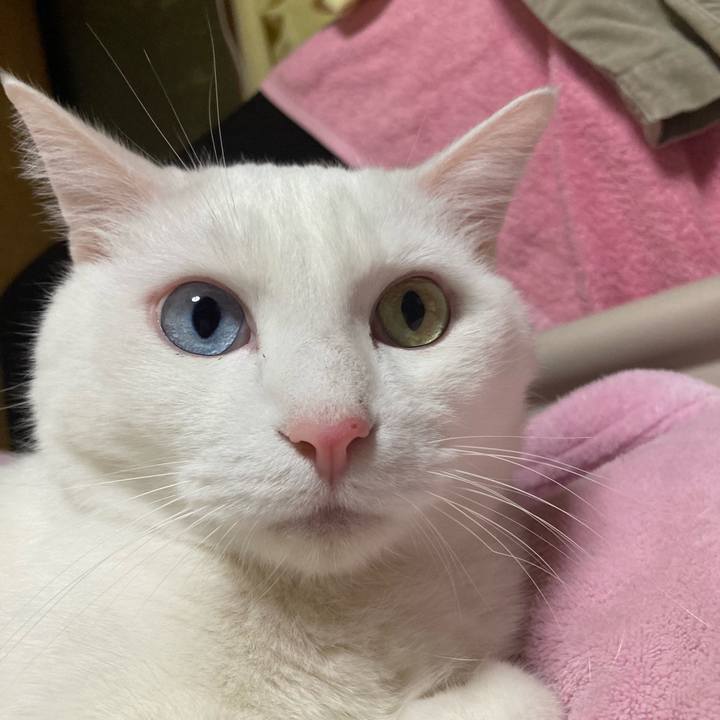 Efa69f21 0c4a 427a b3ac a029d7ea5797 1768116245613