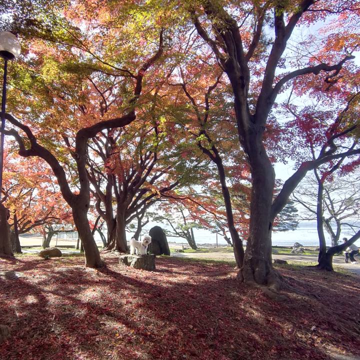 Efa6a66e 047c 491e 8b4e b8e4174e49f7 1764474375208