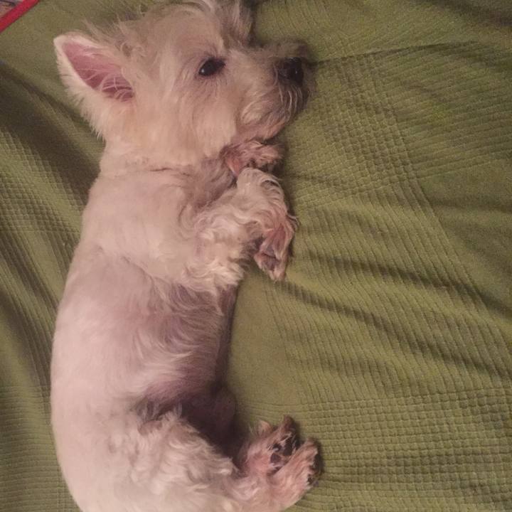 Efa6e650 77d6 45a5 a211 12c6512340a5 1529772502265