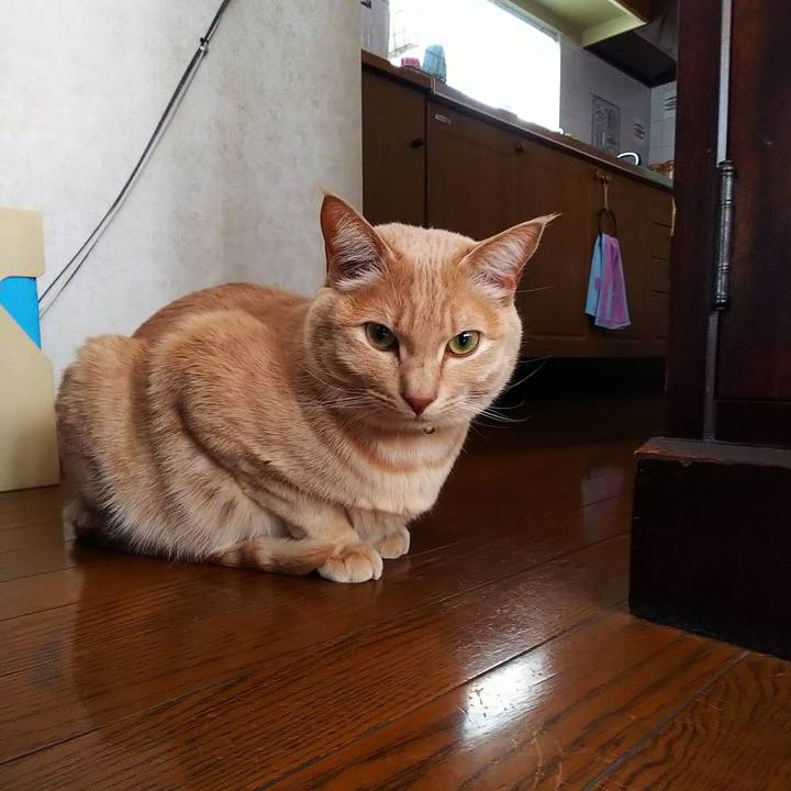 Efa705f0 dca1 4696 ad57 3476af44589e 1581118748492