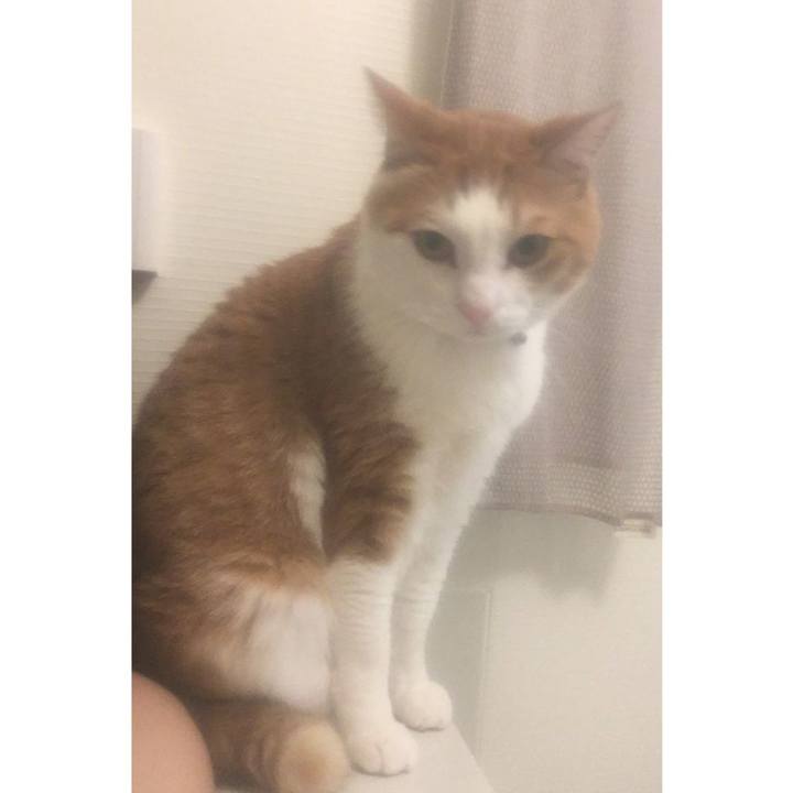 Efa72515 c62d 46f7 bf57 4a2605c5aaa5 1586091994736