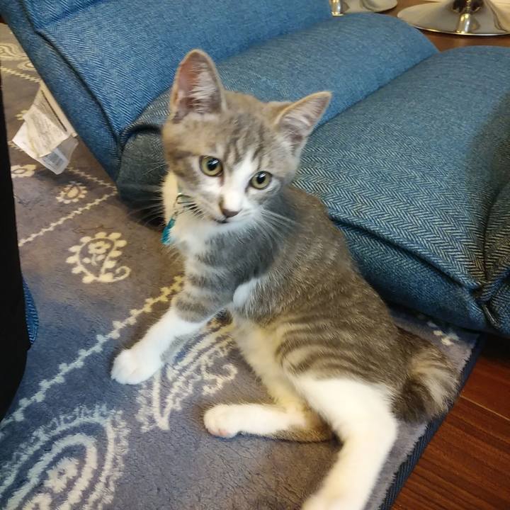 Efa735f9 f5bf 40ae b44b 8c1a7e0017cf 1564021301197