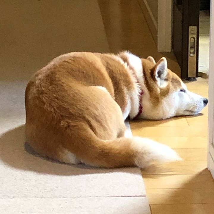 Efa737a0 10df 4180 9229 0dcec082cbca 1550712849772