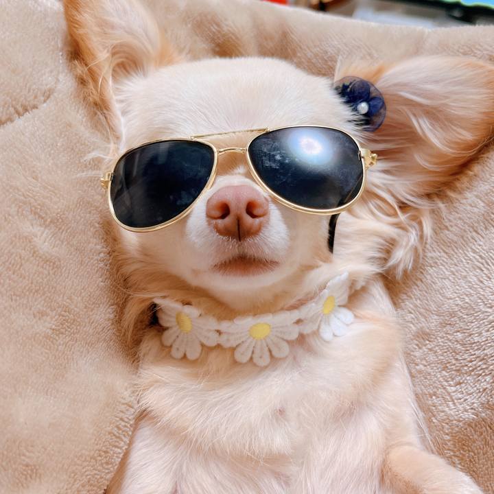 Efa73983 2888 48d9 9e40 4ab690db2e6b 1657074608635