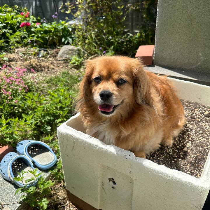 Efa76739 5bbb 4836 a526 9cf0bda406d0 1682911885508