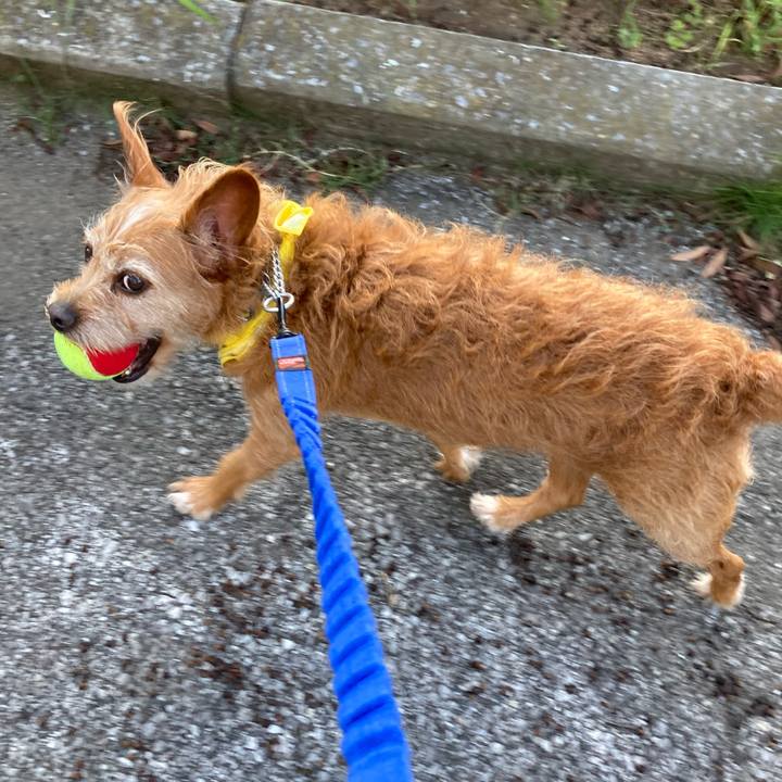 Efa78037 5f32 4334 b329 382e6de19d6c 1658566691023