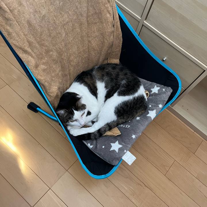 Efa787d2 64f3 40d5 b957 3c658c0178cc 1725598941221