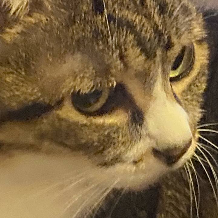 Efa7d319 9eac 4f50 b613 e673c0ff9f56 1675524580328