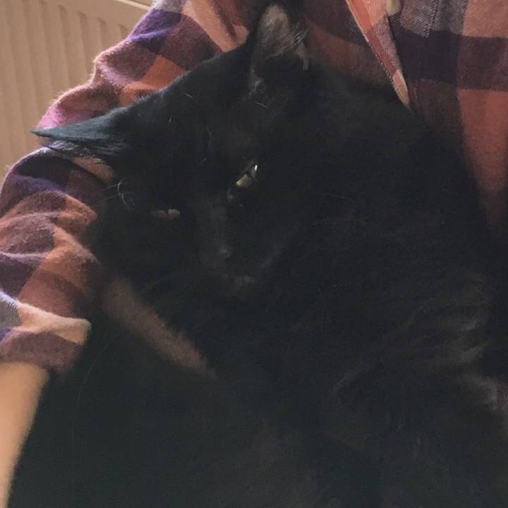 Efa7dfbb 3131 4b09 8747 1650049d5196 1510016831751