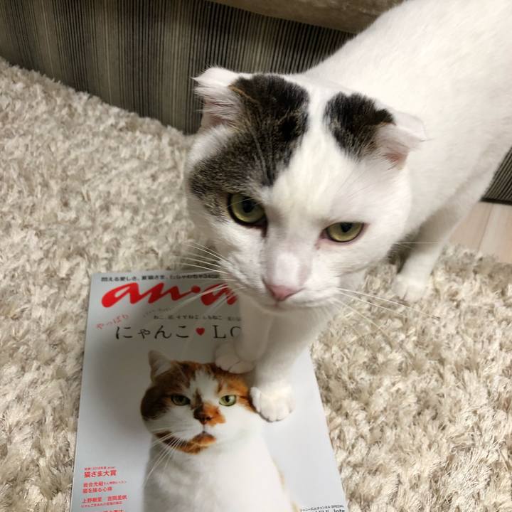 Efa7e1e2 d17a 48c8 93e8 2fd8026bd246 1530269615536