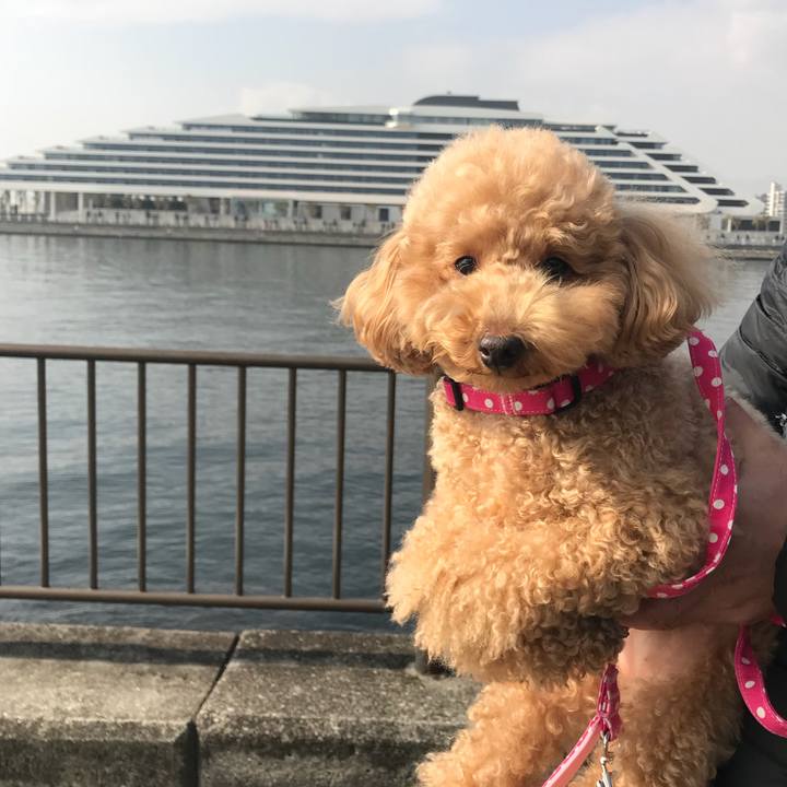 Efa7e755 9ab3 43c2 9c51 98c9641a0d2c 1516424257650