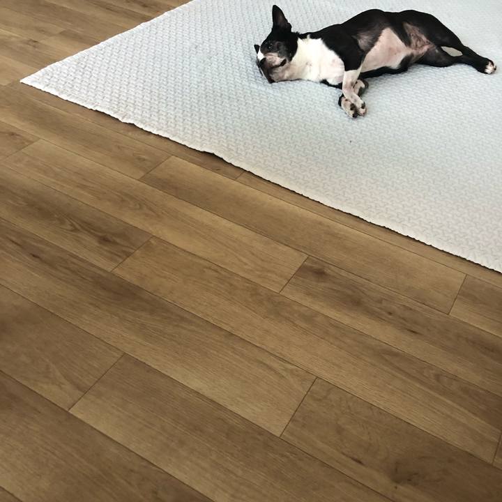 Efa7f218 e5da 4aaf b712 40f44566e3f0 1722423530084