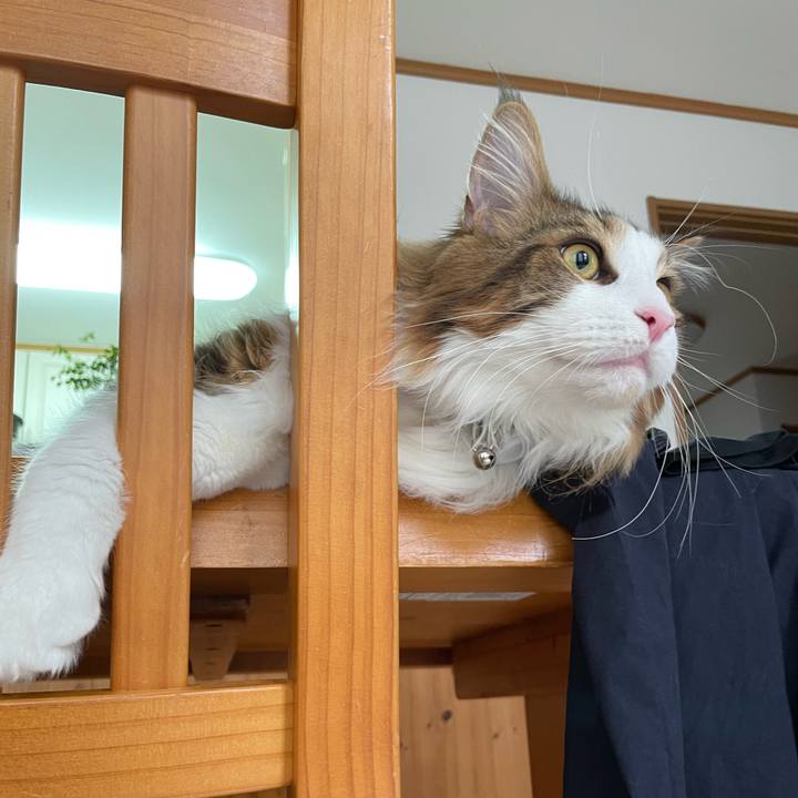 Efa7f5bd 7fd8 48f1 b424 c77ed89caa03 1650661053555