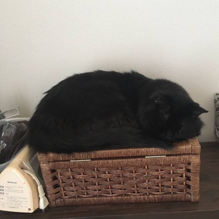 Efa7fc49 badc 4654 953b 1cd4b4b56768 1560470676240