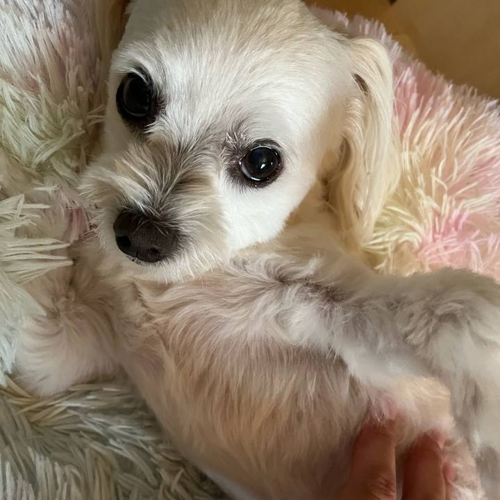 Efa804ab eef1 4001 9667 2e0402c22ddc 1692525897539