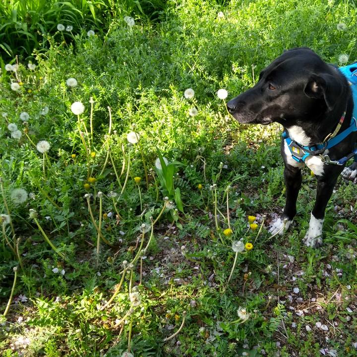 Efa815e3 23fa 47cd bc31 f005e34d3898 1617878667633