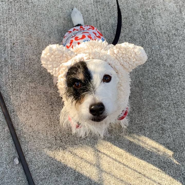 Efa820c5 ba0d 47fd 8b6e e9b597d56321 1734740745953