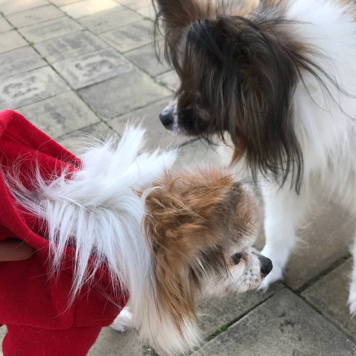 Efa8414c eebf 40fb 90b1 098cca94fa1d 1522411615658