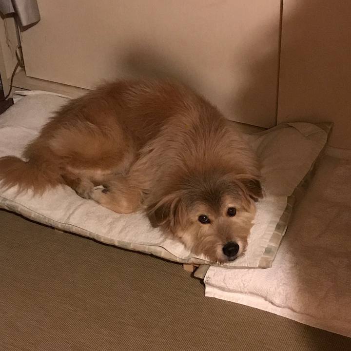 Efa8e9a2 b16f 4974 916b 98ebf7b82dbc 1544087761275