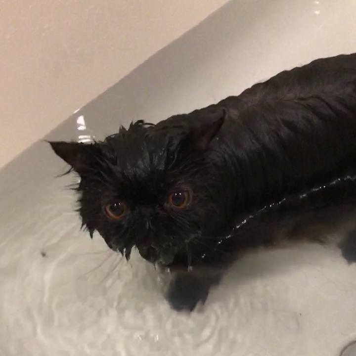 Efa90bfb d63d 46ab aea3 ab119fa2855e 1550806633197