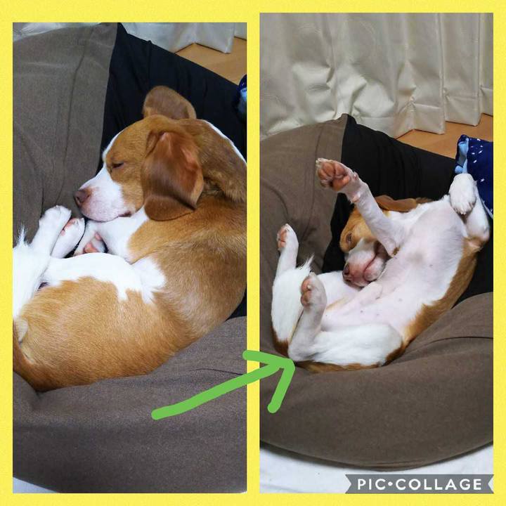 Efa9355d bda2 4250 864f e477c3d64fd1 1551459301897